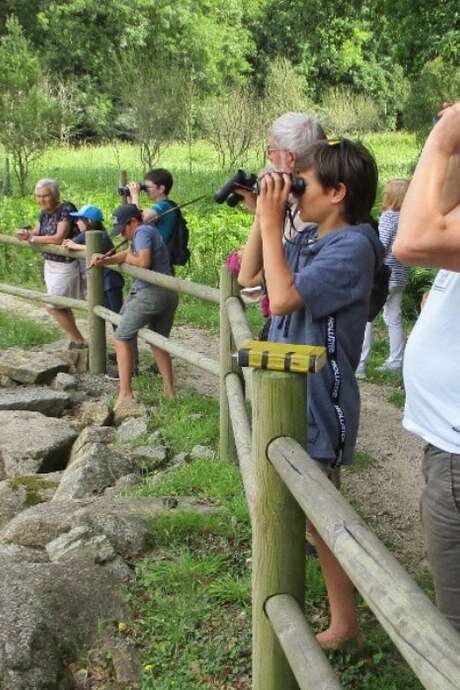 Balade ornithologique - Les randoiseaux de Saint-Dégan