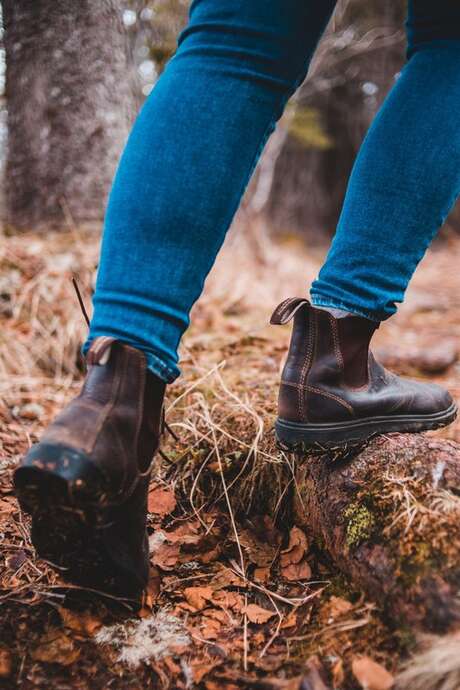 Marche pour le Téléthon - Lions Club
