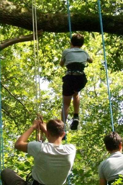 Grimpe dans les arbres