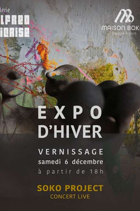 Exposition d'hiver - Maison Bokay & Galerie Alfred Nicaise - Vernissage