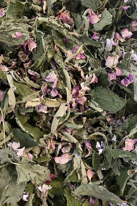 Atelier fabrication de tisane