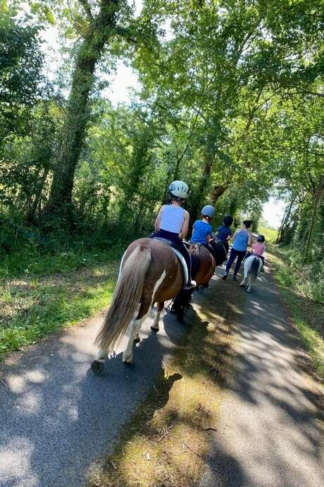 Tours de poneys et activités ludiques