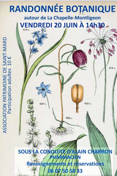 Randonnée botanique