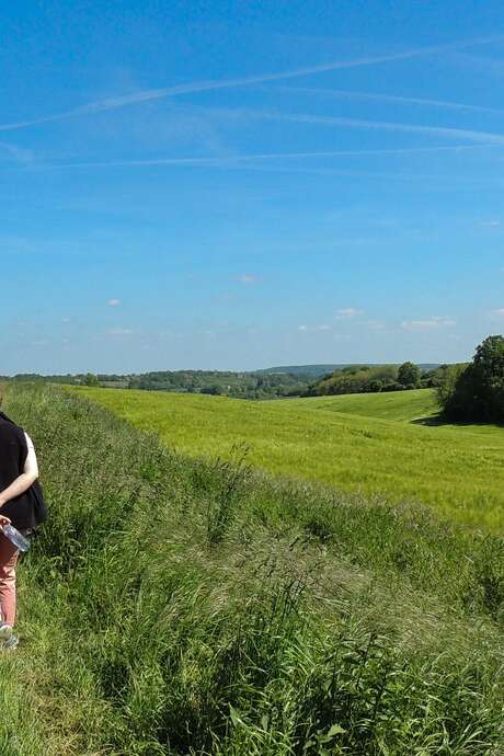 Chantier nature à la réserve des Houles Blanches