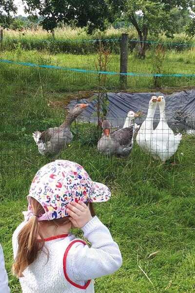 Visite soins escape game ateliers thématiques de la ferme