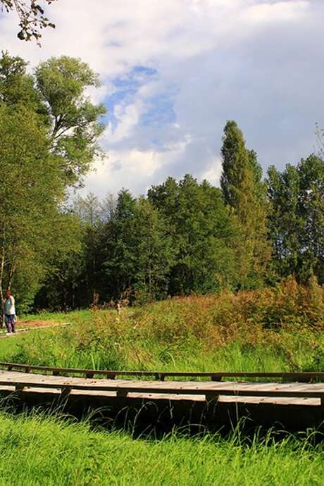 Balade nature - Assieds-toi et regarde les criquets chanter