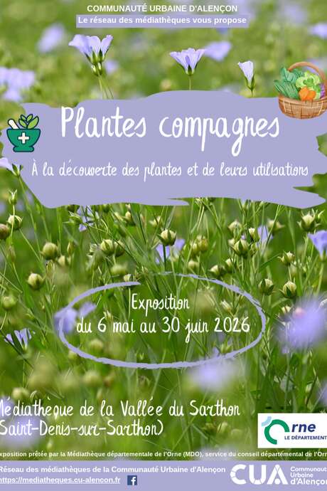 Plantes compagnes