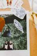Découvrez le scrapbooking