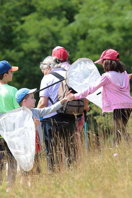 Balade nature - Chasse aux papillons