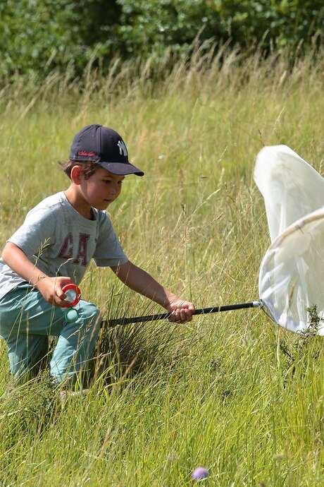 Balade nature - Chasse aux papillons