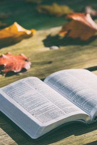 Lecture de contes québécois