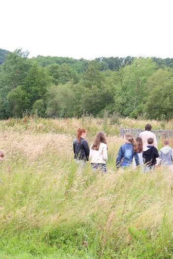 Rendez-vous nature (causerie et promenade) : "C'est du vol ! Le déplacement aérien chez les espèces animales et végétales Rendez-vous nature (causerie et promenade) : "C'est du vol ! Le déplacement aérien chez les espèces animales et végétales
