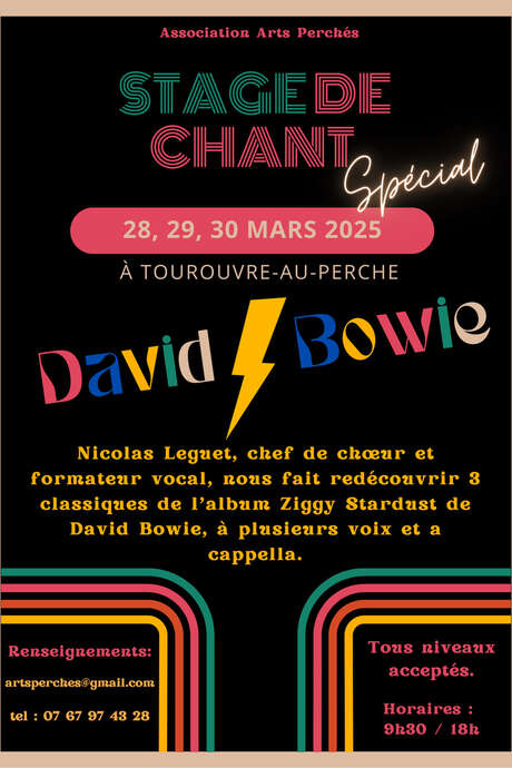 Stage de chant spécial David Bowie