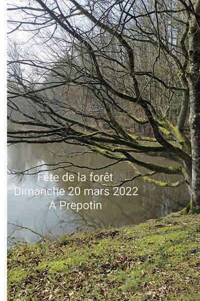 Fête de la forêt Fête de la forêt