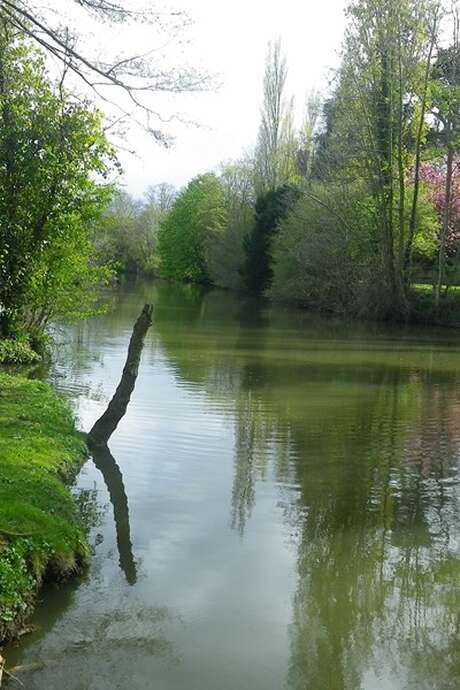 Balade nature - Découverte du site naturel de la Fuie des Vignes