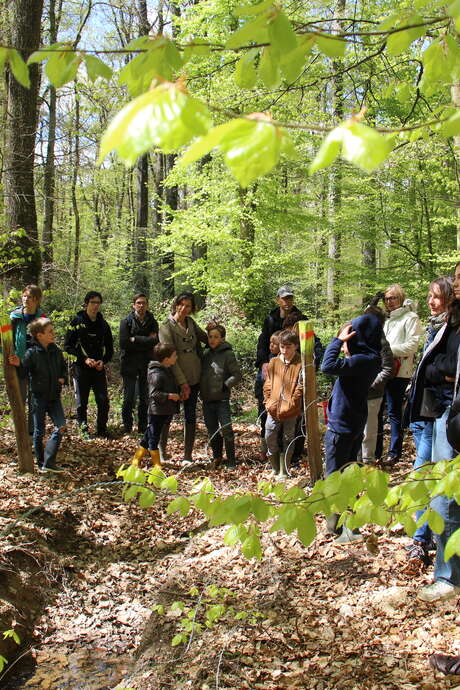 Jouer aux apprentis forestiers ! immersion numérique au cœur de la forêt