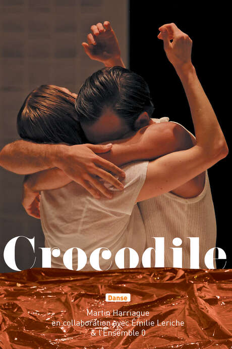 Spectacle - Crocodile