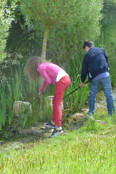 Inventaire botanique du Pin-la-Garenne