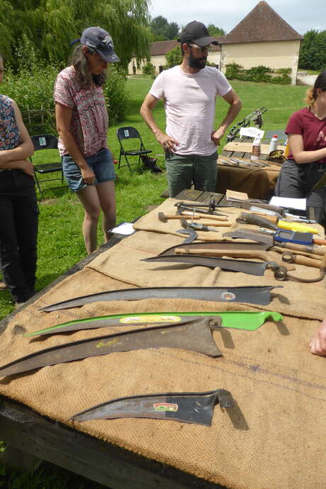 Initiation au fauchage à la faux