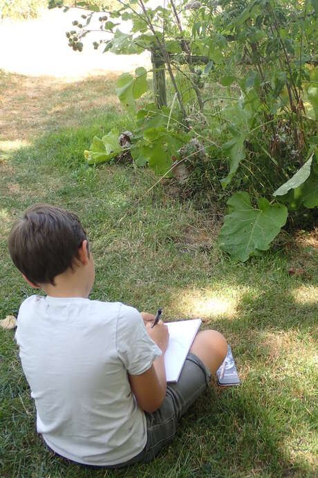 S'initier au croquis botanique