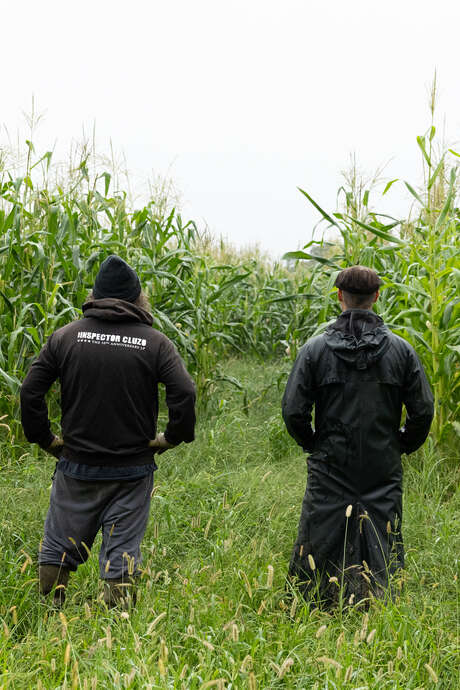 The Inspector Cluzo + 1e partie