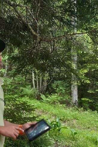 Jouer aux apprentis forestiers ! immersion numérique au cœur de la forêt