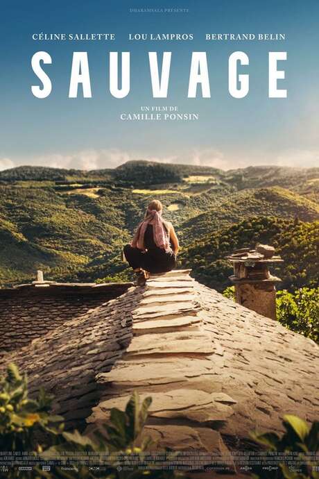 Cinéma - Sauvage