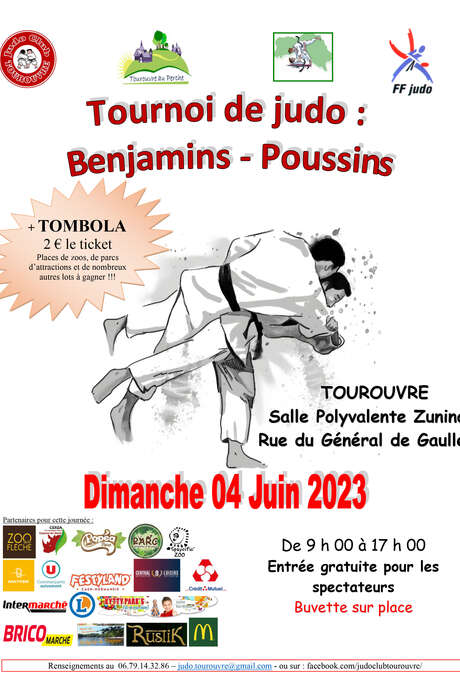 Tournoi de Judo : benjamins-poussins