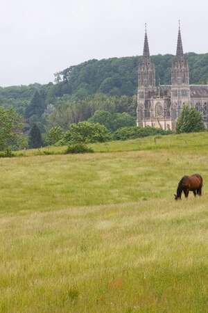 Journées Européennes du Patrimoine - Visite guidée : Montligeon, la cathédrale dans les champs