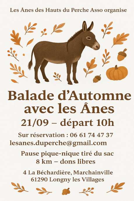 Balade d'automne avec les ânes