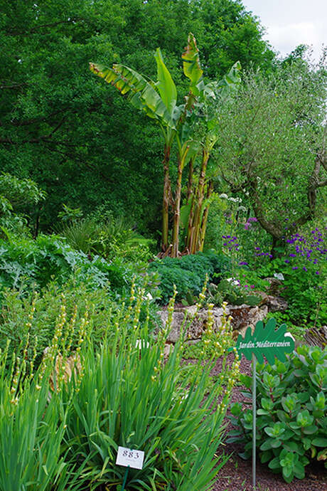 Rendez vous aux Jardins - Jardin du Bois du Puits