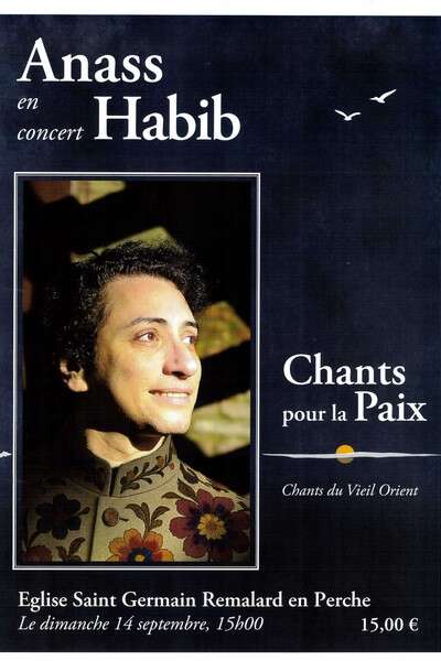 Anass Habib en concert