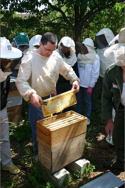 S'initier à l'apiculture (2ème séance/5)