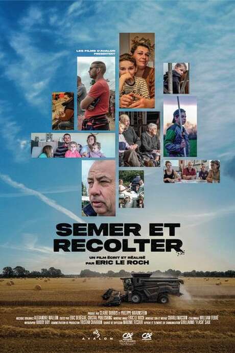 Cinéma en plein air