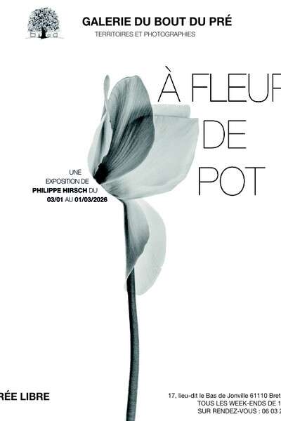 "À Fleur de Pot" - Exposition à la Galerie du bout du Pré