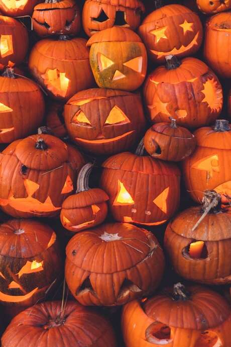 Stage équitation et ateliers créatifs