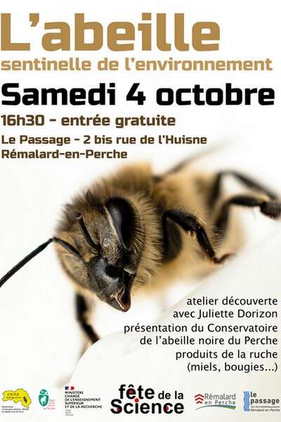 Fête de la Science : L'abeille, sentinelle de l'environnement