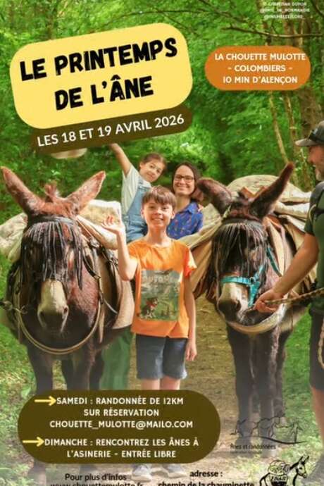 Le printemps de l'âne