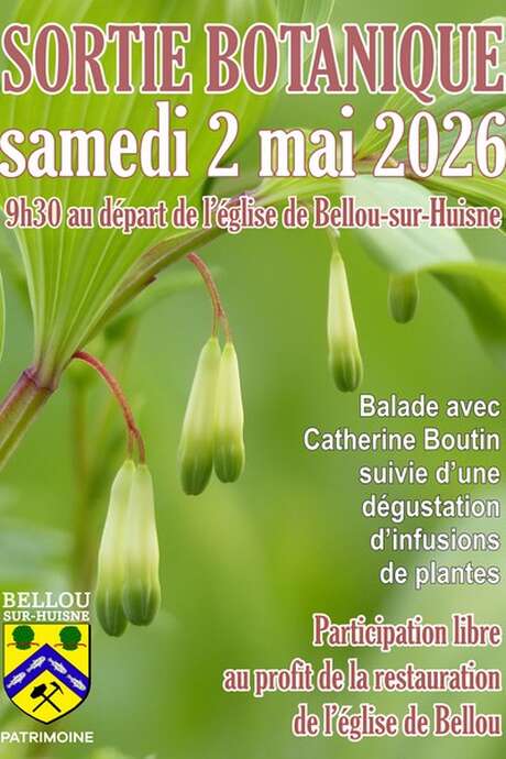 Sortie botanique