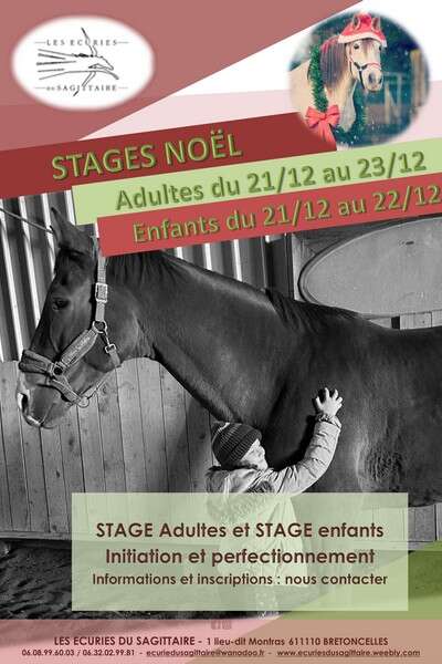 Stages d'équitation aux Écuries du Sagittaire