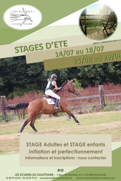 Stage d'équitation aux Écuries du Sagittaire