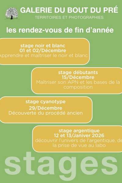 Les rendez-vous de fin d'année à la Galerie du bout du Pré