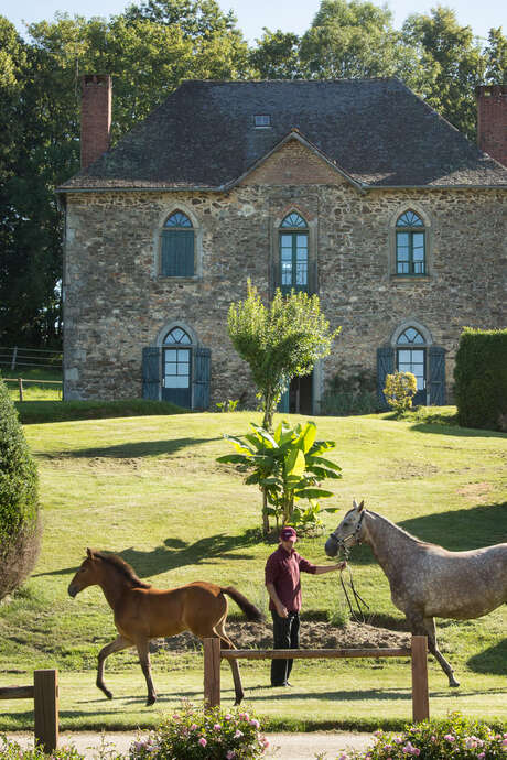 Visites du Haras National de Pompadour