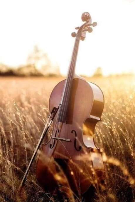 L’ARCAL en concert : Le violoncelle à l’honneur