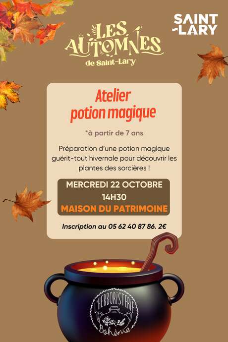 Atelier potion magique