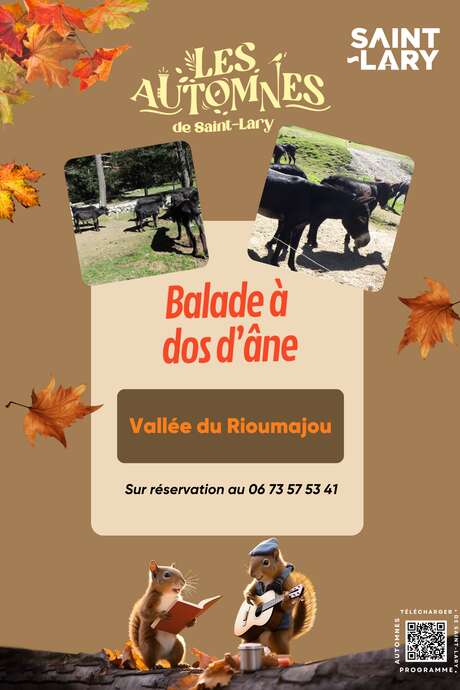 Balade à dos d'ânes au Rioumajou
