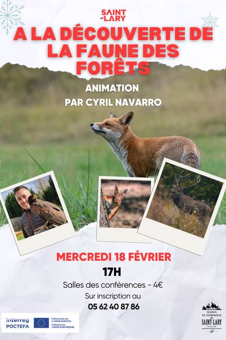 Conférence sur la faune sauvage par Cyril Navarro
