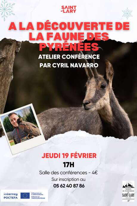 Conférence sur la faune des Pyrénées par Cyril Navarro