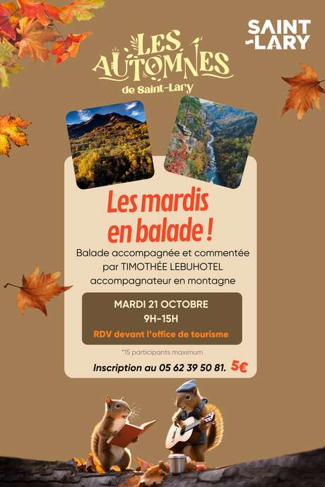 Mardis en balade