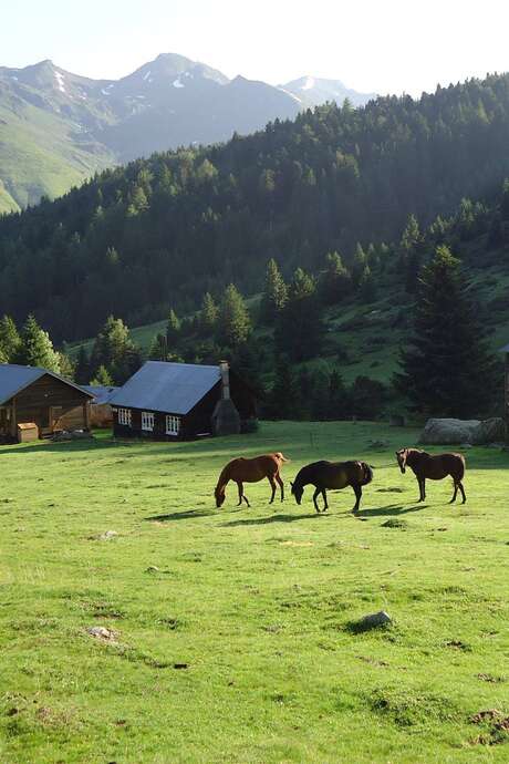 Sites incontournables : Le Camp Rollot